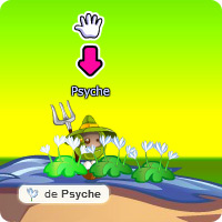 Graines de Lys