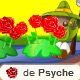 Graines de Roses