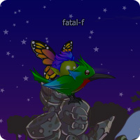 MONTURE : Colibri