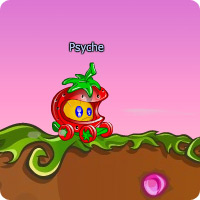 MONTURE : Fraise