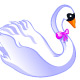 MONTURE : Cygne