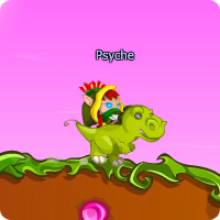 MONTURE : Raptor