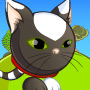 Chat domestique 2